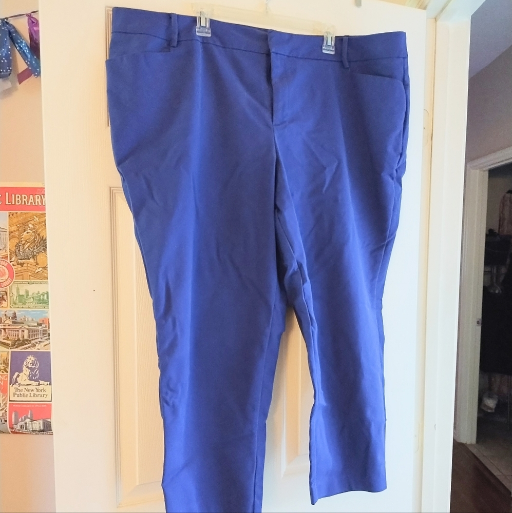 PLUS Eloquii 24S Blue Slacks
